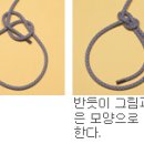 자일 Daum카페