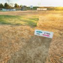 대산문화체육공원(파크골프장) 이미지