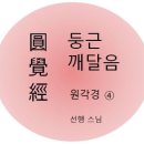 금강장 이미지