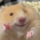 오늘간식 | 편의점 다이어트 저당 간식 추천 | 오늘단백 단백질바 솔직후기