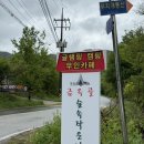 숲속 동키마을 캠핑장 | [강원/춘천] 금옥골 숲속작은마을 반려견동반 캠핑장 C4 (DOD이에텐트/히레타프)