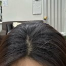 김선아헤어샵 네이버블로그