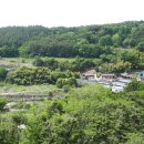 6091농장 Daum카페