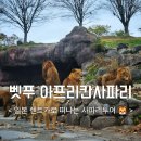 우리렌트카 | 벳푸 아프리칸 사파리 후기(렌트카 vs 정글버스)