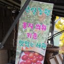 한일농원 이미지