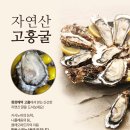 금광수산 이미지