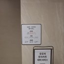 스타필드 고양 토이카트 유모차 대여 후기: 아이와 함께 가기 좋은 스타필드 고양