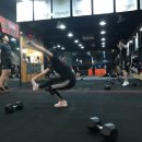 핏조아짐 신대 이미지