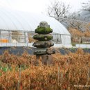신사리 석탑(新泗里 石塔) 이미지