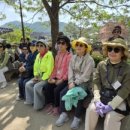 소양강가든 이미지