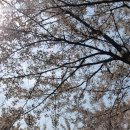 원신근린공원 이미지