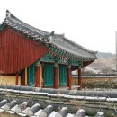 자료 백하공 이미지