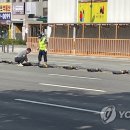 침산교회 앞 이미지