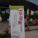 무궁화 슈퍼 이미지