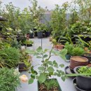 예쁜메이크업 정원 이미지