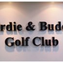 버디골프클럽 이미지