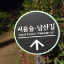 [야간] (매봉산입구)~응봉산~서울숲~매봉산~남산~버티고개역 21.85km 이미지