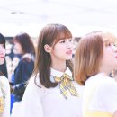아린