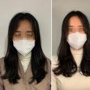 J 본헤어 이미지