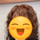 복슬 강아지미용실 이미지