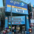 삼척 중앙시장 회 내돈내산 신선회수산시장 방어 포장후기