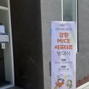 2026 강원 MICE 서포터즈 13기 합격 꿀팁 &amp; 발대식 생생 후기 💙