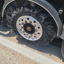 춘향(순천) 이미지