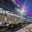 자갈치시장 | [부산] 자갈치시장 오징어 회 구입 후기 보성상회 추천 &amp; 자갈치 전망대!