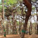 대창초교병설유치원 이미지