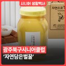 광주북구시니어클럽 자연으로 이미지