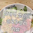 슬로우캘리양재포이점