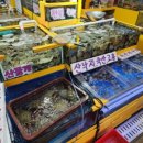 영남스티로폼
