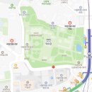 뮤지컬 나는 별이야 | 뮤지컬 수영장의 사과 후기 @국립정동극장 세실 (시야)