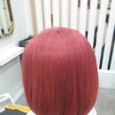 살롱드루나