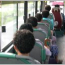 라인댄스(야) 이미지