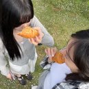 [서귀포 맛집] 나만 알고 싶은 제주메밀이야기 내돈내산 후기