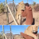 웃는강아지 이미지