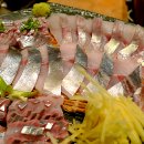 바다잔치 이미지