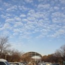 광적생활체육공원 족구장 이미지