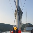 사월의모비딕