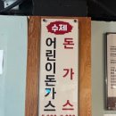 개미들의 백년 쭈꾸미