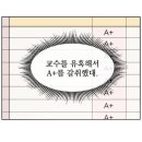(주)조이키토 | 대학에서~ 누가 돌아왔게~