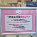 견생일기 | [서울 강서] 댕플루언서 강아지 견생샷 성지 무인 애견카페 사진 찍기 좋은 곳 내돈내산