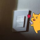 성광조명전기 이미지