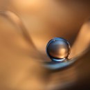 Water Drop & Water Bubble 이미지