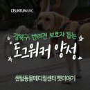 해운대도그워커 이미지