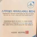 붉은부채집 이미지
