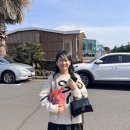 제주 하연 이미지