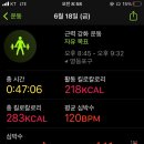 목동연어 이미지