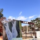 의릉 | 서울 성북구 의릉 방문 후기｜아이와 함께 걷기 좋은 숨은 단풍 명소 한예종 (+아기랑)